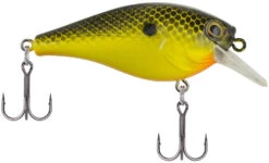 Berkley SquareBull 2 3/8 Inch Shallow Squarebill Crankbait 35 Berkley SquareBull 2 3/8 Inch Shallow Squarebill Crankbait -Fishing Equipment Store Berkley SquareBull Black Chartreuse 2017 alt2 2000