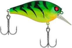 Berkley SquareBull 2 3/8 Inch Shallow Squarebill Crankbait 38 Berkley SquareBull 2 3/8 Inch Shallow Squarebill Crankbait -Fishing Equipment Store Berkley SquareBull Firetiger 2018 alt2 2000