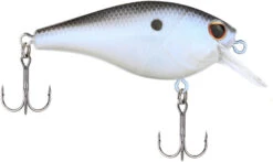 Berkley SquareBull 2 3/8 Inch Shallow Squarebill Crankbait 36 Berkley SquareBull 2 3/8 Inch Shallow Squarebill Crankbait -Fishing Equipment Store Berkley Squarebull BlueShad 55 alt2 2000