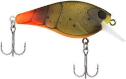 Berkley SquareBull 2 3/8 Inch Shallow Squarebill Crankbait 37 Berkley SquareBull 2 3/8 Inch Shallow Squarebill Crankbait -Fishing Equipment Store Berkley Squarebull FiretailGreenCraw 55 alt2 2000