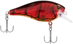 Berkley SquareBull 2 3/8 Inch Shallow Squarebill Crankbait 40 Berkley SquareBull 2 3/8 Inch Shallow Squarebill Crankbait -Fishing Equipment Store Berkley Squarebull GhostRedCraw 35 alt2 2000