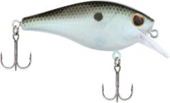 Berkley SquareBull 2 3/8 Inch Shallow Squarebill Crankbait 41 Berkley SquareBull 2 3/8 Inch Shallow Squarebill Crankbait -Fishing Equipment Store Berkley Squarebull GreenShad 35 alt2 2000