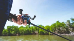 Daiwa Coastal TWS 80 Baitcasting Reel -Fishing Equipment Store Coastal1Spot