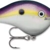 Rapala DT Series Crankbait DT16 -Fishing Equipment Store DT10 14 16 BGSD 73079a29 a409 4337 a470 62833f2a7c7a