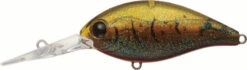 Evergreen International CR-10 Deep Diving Crankbait -Fishing Equipment Store EVG CR 10 216 Olive Crawdad