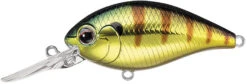 Evergreen International CR-10 Deep Diving Crankbait -Fishing Equipment Store Evergreen CR 374 4758f032 87af 441f aa03 66689be41d14