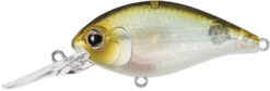 Evergreen International CR-10 Deep Diving Crankbait -Fishing Equipment Store Evergreen CR 420 5203f195 bbca 4378 b397 b08b3a4195de