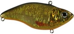 SPRO Aruku Shad 85 Lipless Crankbait -Fishing Equipment Store Gold Black 8f0d2503 a072 4b05 992d f0f48e8ae757