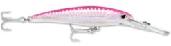 Rapala X-Rap Magnum 30 Big Game Slash Bait -Fishing Equipment Store Hot Pink UV 82517a7c 7158 44d1 bdc4 2ac6cb97c917