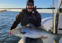 Nomad Design Inshore Spinning Rod 8 Nomad Design Inshore Spinning Rod -Fishing Equipment Store Inshore Spin