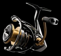 Daiwa Exceler LT Spinning Reel -Fishing Equipment Store JTKar0HY