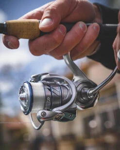 Daiwa Procyon MQ LT Spinning Reel -Fishing Equipment Store Procyon5Spot