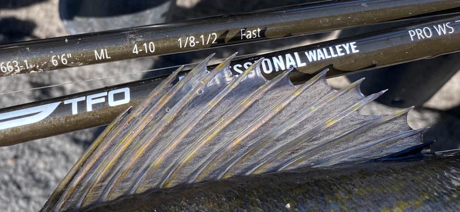 Temple Fork Outfitters Professional Walleye Casting Rods 7 Temple Fork Outfitters Professional Walleye Casting Rods - Image 5
