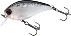 Yo-Zuri 3DB Crank 1.5 Shallow Squarebill Crankbait -Fishing Equipment Store R1352 PBLS