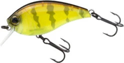 Yo-Zuri 3DB Crank 1.5 Shallow Squarebill Crankbait -Fishing Equipment Store R1352 PCPC