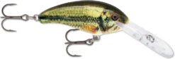 Rapala Shad Dancer SDD05 Medium Diving Crankbait -Fishing Equipment Store SDD LBL