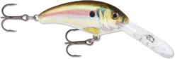 Rapala Shad Dancer SDD05 Medium Diving Crankbait -Fishing Equipment Store SDD RSL