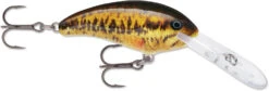 Rapala Shad Dancer SDD05 Medium Diving Crankbait -Fishing Equipment Store SDD SBL