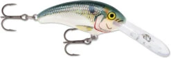 Rapala Shad Dancer SDD05 Medium Diving Crankbait -Fishing Equipment Store SDD SD