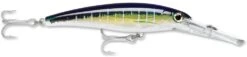 Rapala X-Rap Magnum 10 Big Game Slash Bait -Fishing Equipment Store Sailfish UV 9fb6931a 3681 44e1 bda3 7a859014566d