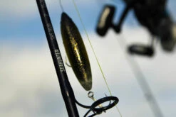 Temple Fork Outfitters Seahunter Spinning Rods -Fishing Equipment Store Seahunter Bottom Banner 3 99a9073b 1467 4106 a835 1795aa8022a3