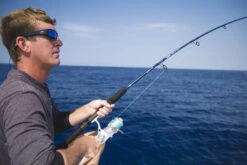 Temple Fork Outfitters Seahunter Spinning Rods -Fishing Equipment Store Seahunter Bottom Banner 5 26e996a0 9821 4303 b33c d8740b2a8591