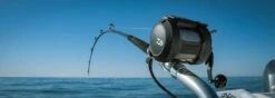 Daiwa Tanacom 800 Power Assist Electric Dendoh Reel -Fishing Equipment Store TANACOM 800 BANNER1