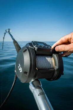 Daiwa Tanacom 800 Power Assist Electric Dendoh Reel -Fishing Equipment Store TANACOM 800 41