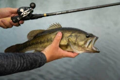 Temple Fork Outfitters Tactical Bass Baitcasting Rods -Fishing Equipment Store Tactical Bass Bottom Banner Lifestlye 1 58dad5a5 5cde 4d45 abec 10983a08d6d8