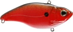 SPRO Aruku Shad 65 Lipless Crankbait -Fishing Equipment Store Texas Craw 993063b6 e2f5 4688 99b7 4274a26753ee