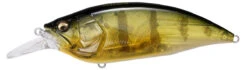 Megabass Big-M 4.0 Magnum Deep Diving Crankbait -Fishing Equipment Store big m40 gp pro perch 0db7837a f5b8 49a5 80f4 067dd94413d0