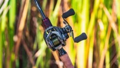 Daiwa Steez CT SV Baitcasting Reel -Fishing Equipment Store daiwa steez ct sv 5