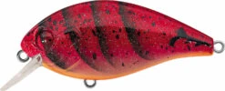 Evergreen International SH-3 Shallow Squarebill Crankbait -Fishing Equipment Store evergreen SH 3 223 speed craw