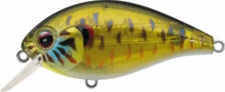 Evergreen International SH-3 Shallow Squarebill Crankbait -Fishing Equipment Store evergreen SH 3 286 skeleton pumpkinseed