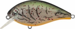 Evergreen International SH-3 Shallow Squarebill Crankbait -Fishing Equipment Store evergreen SH 3 363 albino craw