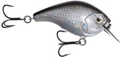 13 Fishing Scamp 1.5/2.5 Squarebill Crankbait -Fishing Equipment Store flipDisco shad
