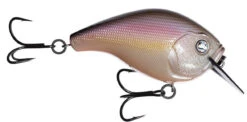 13 Fishing Scamp 1.5/2.5 Squarebill Crankbait -Fishing Equipment Store flipRegurgitated Shad