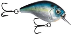 13 Fishing Scamp 1.5/2.5 Squarebill Crankbait -Fishing Equipment Store flipStunner