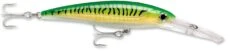 Rapala X-Rap Magnum 40 Big Game Slash Bait -Fishing Equipment Store gold green mackerel c36aafcc 55b7 4b87 b976 933cb1f68086