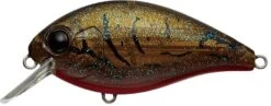 Evergreen International SH-3 Shallow Squarebill Crankbait -Fishing Equipment Store olive 2Bcrawdad 23363e0d 36be 4924 8f26 7398934df3e2