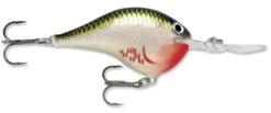 Rapala DT Series Crankbait DT16 -Fishing Equipment Store rapala dt10 bleeding olive shiner b0933817 f4b0 4dbd 8841 3fc7fccc6f40