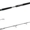 Daiwa Saltiga Jigging Series Spinning Rods -Fishing Equipment Store saltiga spin main