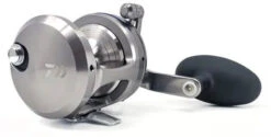 Daiwa Saltiga Star Drag 20/30/35/40/50 Conventional Reels -Fishing Equipment Store saltigastar1 600x600 jpg
