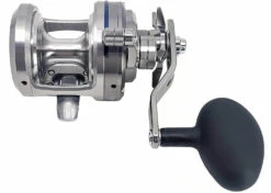 Daiwa Saltiga Star Drag 20/30/35/40/50 Conventional Reels -Fishing Equipment Store saltigastar2
