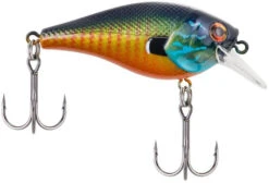 Berkley SquareBull 2 3/8 Inch Shallow Squarebill Crankbait 29 Berkley SquareBull 2 3/8 Inch Shallow Squarebill Crankbait -Fishing Equipment Store squarebull gilly 9823b24f 821b 42a2 bbbb 0c93e43286eb