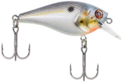 Berkley SquareBull 2 3/8 Inch Shallow Squarebill Crankbait 30 Berkley SquareBull 2 3/8 Inch Shallow Squarebill Crankbait -Fishing Equipment Store squarebull sexier shad 1d609b07 b72e 43cb ae5f 8f3b1f1c079e