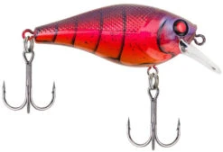 Berkley SquareBull 2 3/8 Inch Shallow Squarebill Crankbait 31 Berkley SquareBull 2 3/8 Inch Shallow Squarebill Crankbait -Fishing Equipment Store squarebull special red craw a3eeef37 c990 4d30 a2a4 9203d3981ecd