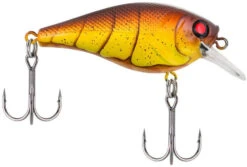 Berkley SquareBull 2 3/8 Inch Shallow Squarebill Crankbait 32 Berkley SquareBull 2 3/8 Inch Shallow Squarebill Crankbait -Fishing Equipment Store squarebull spring craw 7920c685 ad66 4e2d 9a4b dfc15a821819