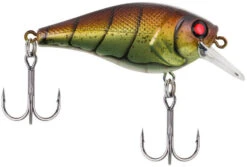 Berkley SquareBull 2 3/8 Inch Shallow Squarebill Crankbait 33 Berkley SquareBull 2 3/8 Inch Shallow Squarebill Crankbait -Fishing Equipment Store squarebull vintage craw 80989045 ac81 41fe b62e aacb608a8003