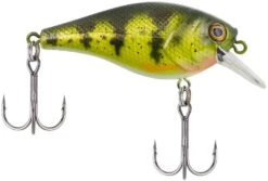 Berkley SquareBull 2 3/8 Inch Shallow Squarebill Crankbait 34 Berkley SquareBull 2 3/8 Inch Shallow Squarebill Crankbait -Fishing Equipment Store squarebull yellow perch 08cc63df 2824 4d70 8487 3e7beebcaa15
